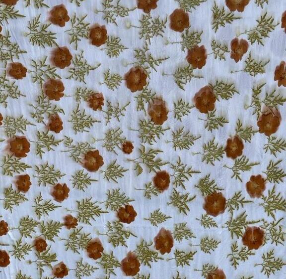 ホテル Meriki Apartment