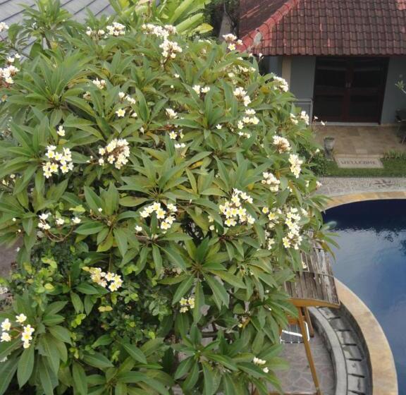 ホテル Meriki Apartment