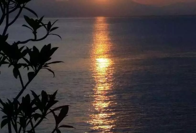 Toyabali  Resort