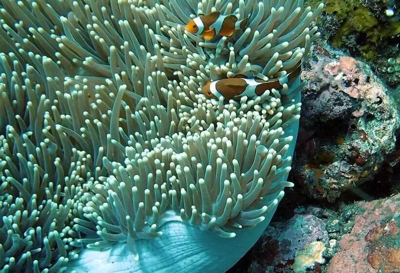 Toyabali  Resort