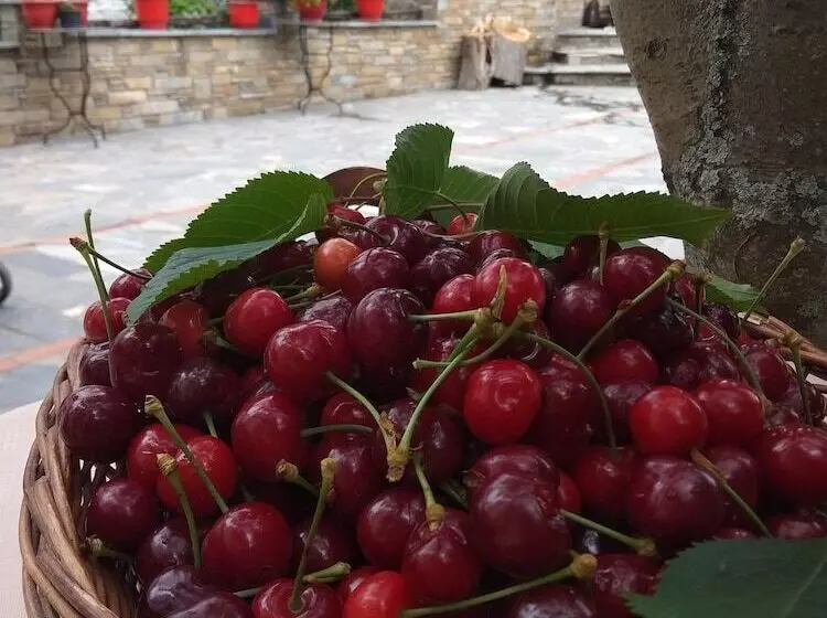 Hotelli Archontiko Kantartzi