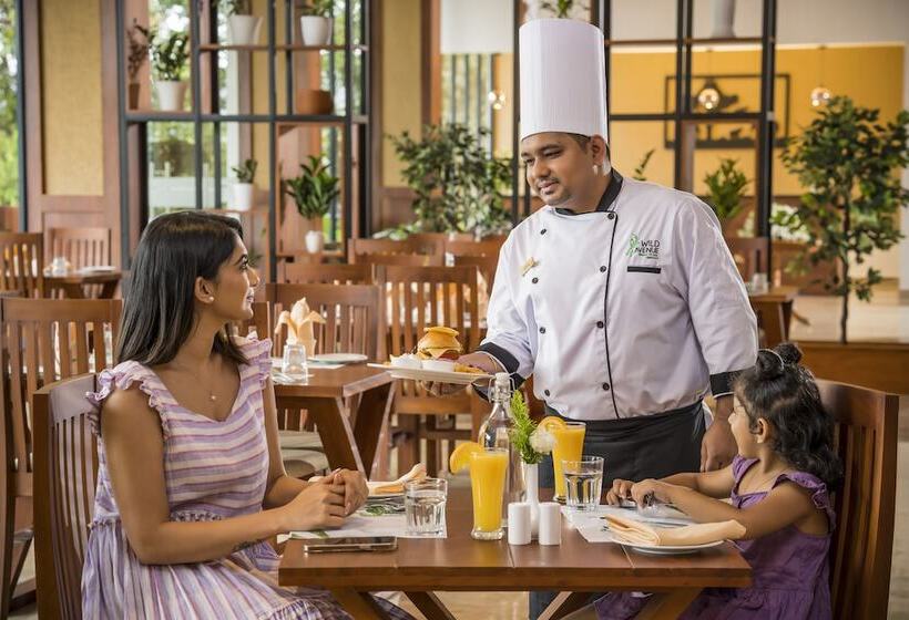 Hotel Wild Avenue Resort & Spa