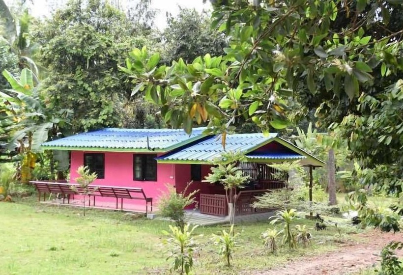 ユースホステル Kama Siri