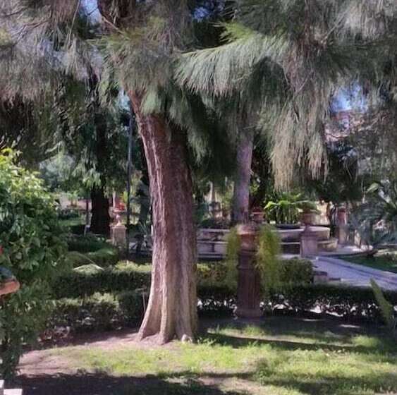 住宿加早餐  Residenza Del Turista