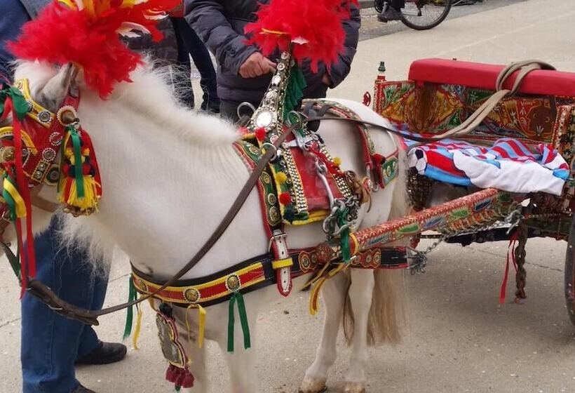 住宿加早餐  Residenza Del Turista