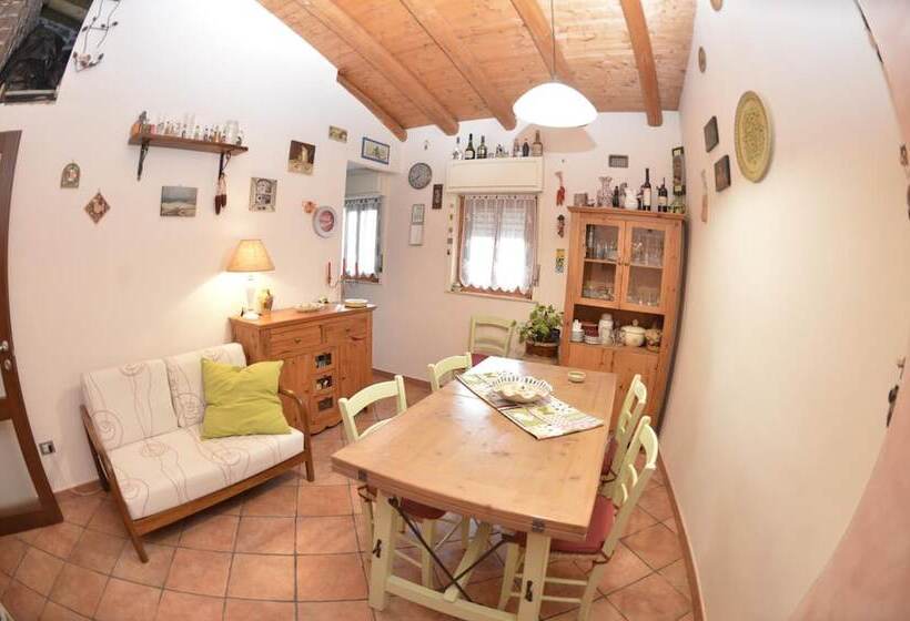 住宿加早餐  Residenza Del Turista