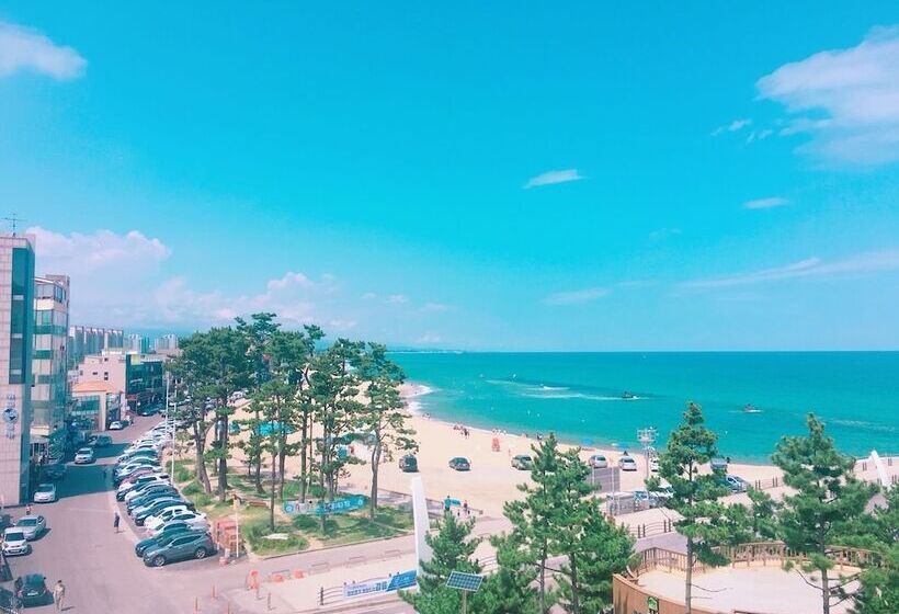 Gn Guesthouse Coffeemarina   Hostel