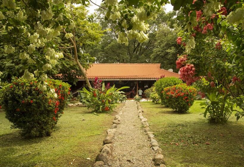 酒店 Canto De Ballenas