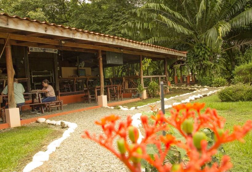 酒店 Canto De Ballenas