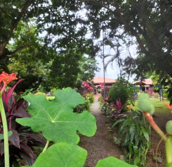 酒店 Canto De Ballenas