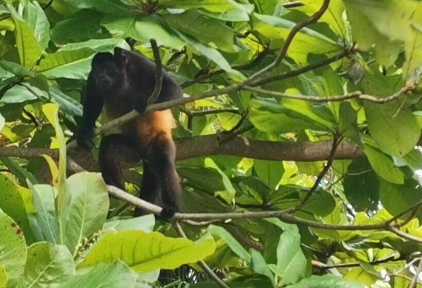 酒店 Canto De Ballenas