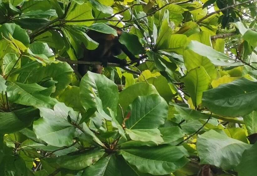 酒店 Canto De Ballenas