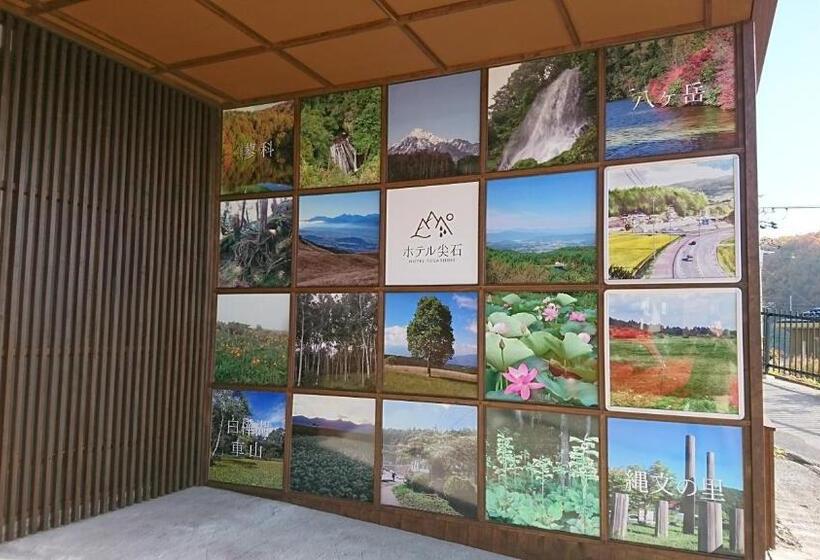 Отель Togariishi