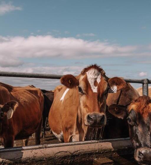 Oakhurst Farm Cottages