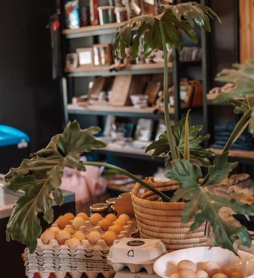 Oakhurst Farm Cottages