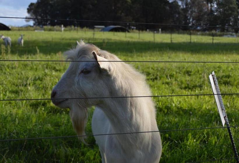 Pension Baris Guesthouse