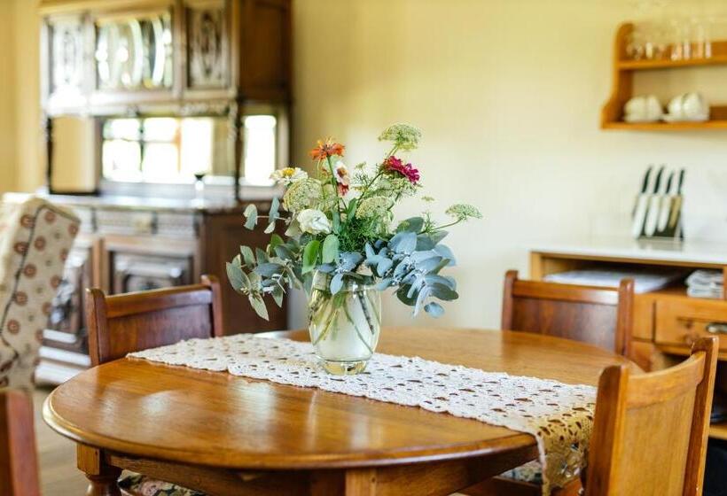 Pension Baris Guesthouse