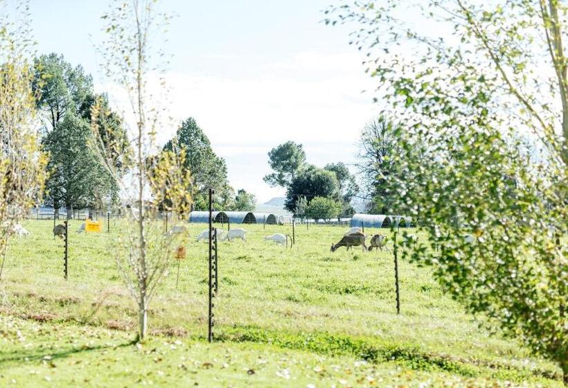 Pension Baris Guesthouse