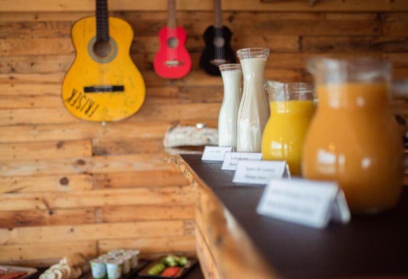 Общежитие Shark S Lodge