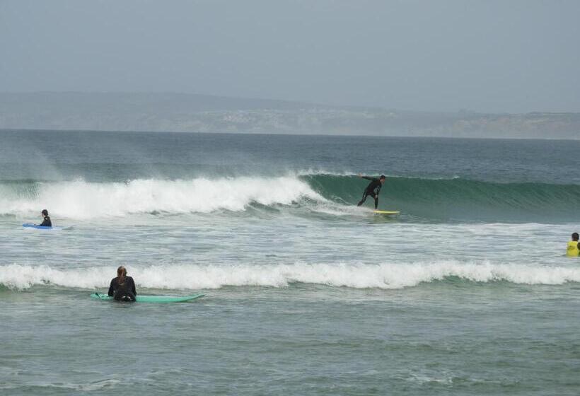 Общежитие Shark S Lodge