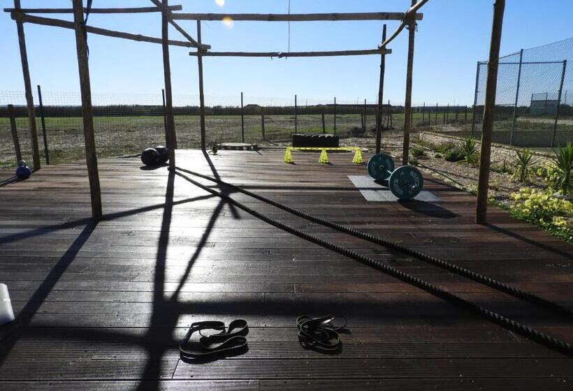 Общежитие Shark S Lodge