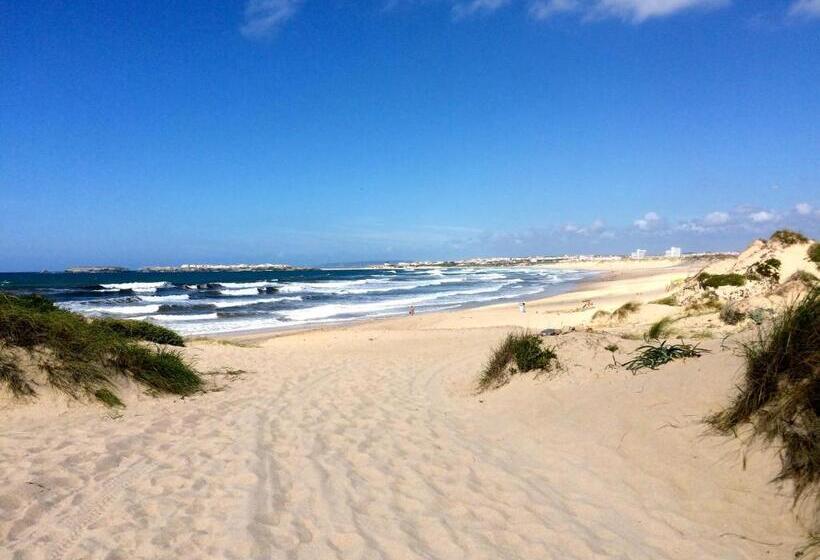 Общежитие Shark S Lodge