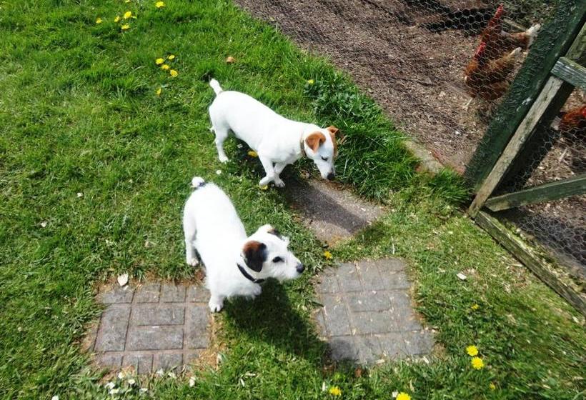 مبيت وإفطار Westwood Country House