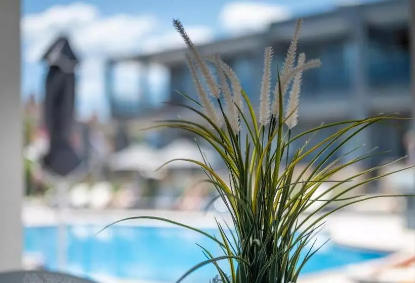 Dionysos Hotel & Suites