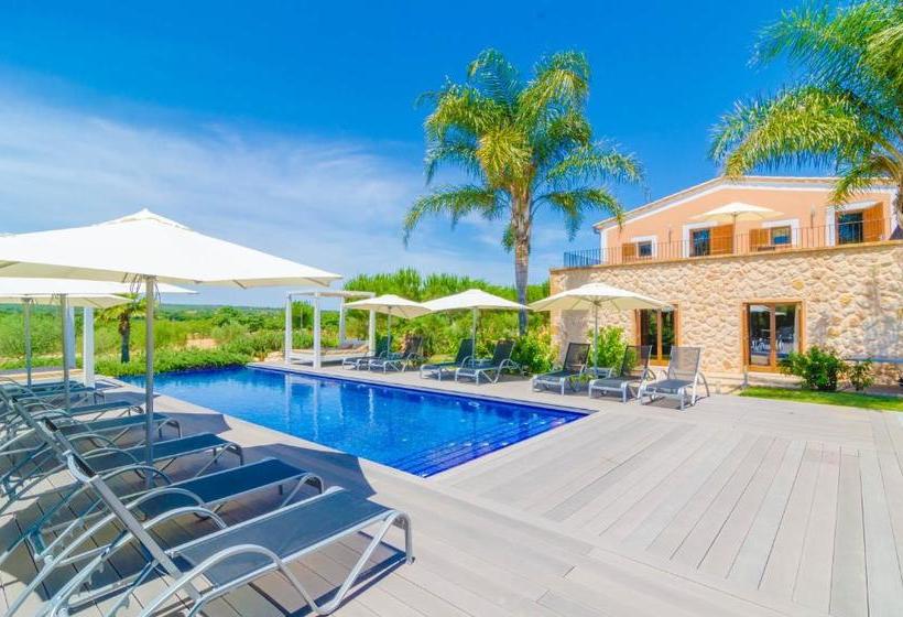 Finca Short De Conies 2