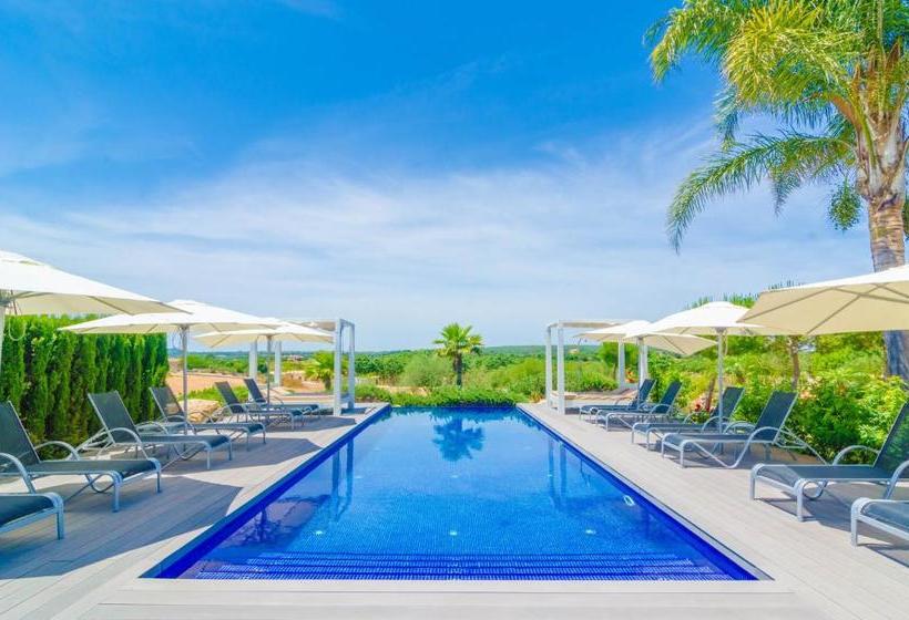 Finca Short De Conies 2