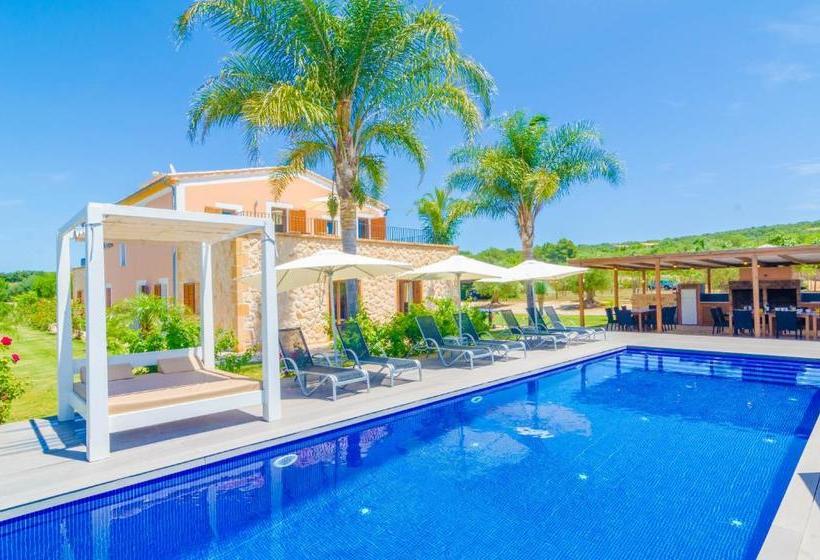 Finca Short De Conies 2