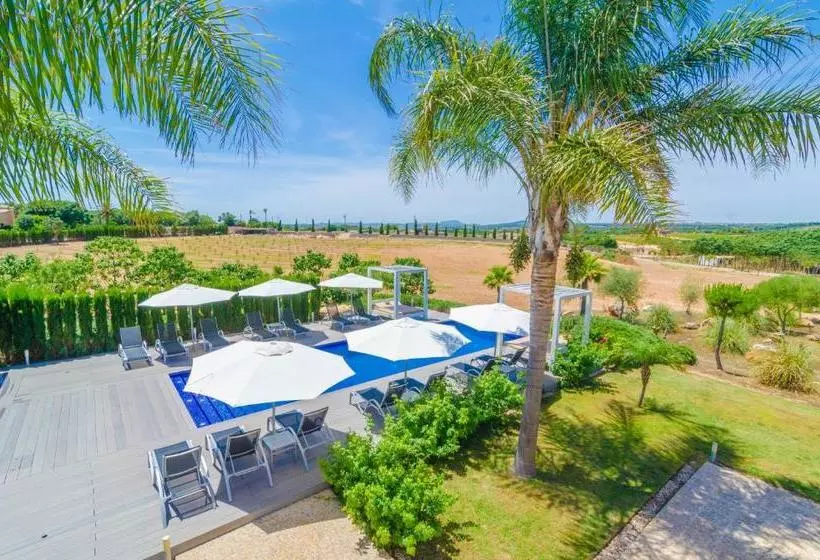 Finca Short De Conies 2