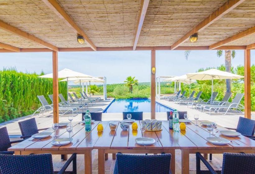 Finca Short De Conies 2