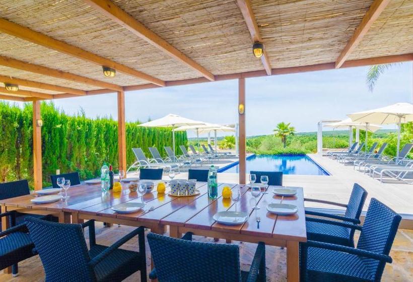 Finca Short De Conies 2