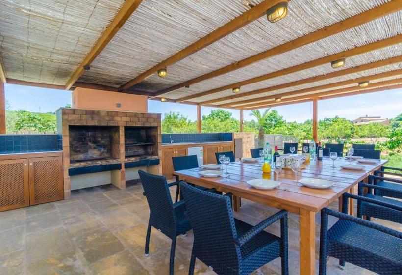 Finca Short De Conies 2