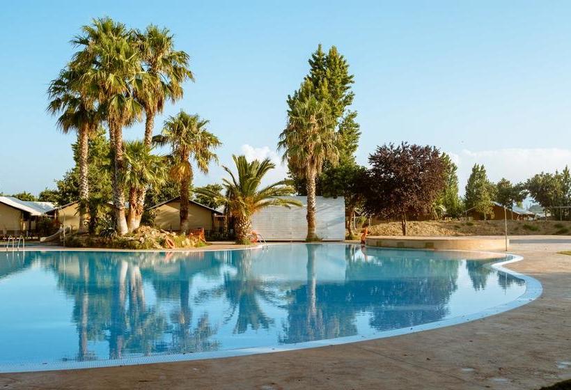 ホテル Camping La Tordera