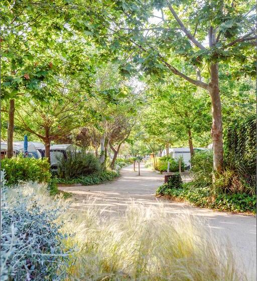 ホテル Camping La Tordera