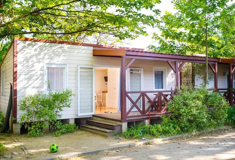 ホテル Camping La Tordera