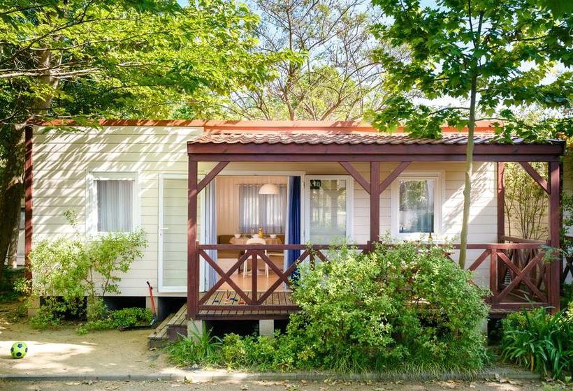 ホテル Camping La Tordera