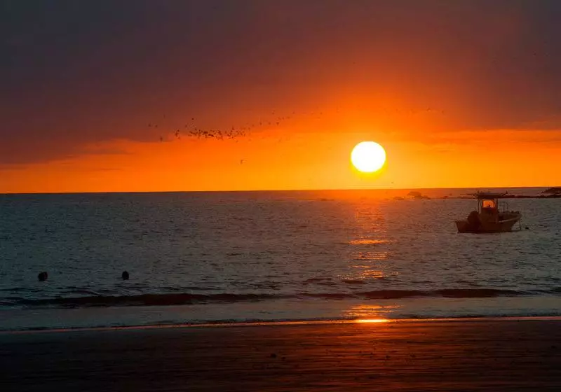 Hotelli Villas Playa Samara Beach Front Resort