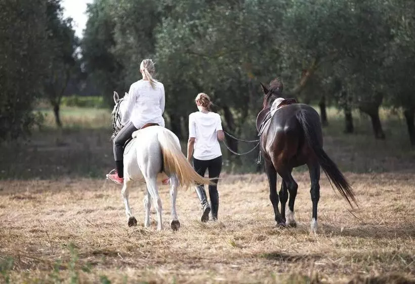 Masseria Prosperi