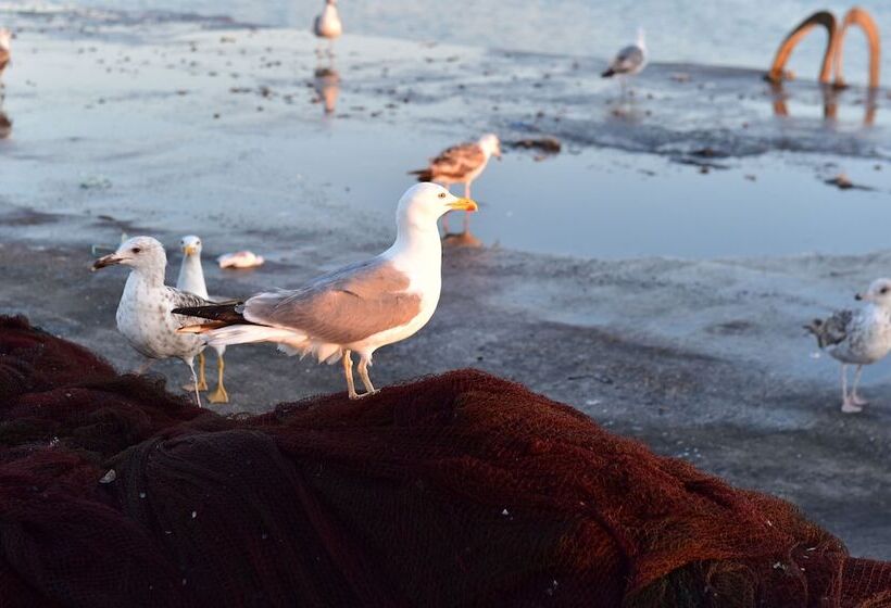 Mercearia D Alegria Boutique B&b