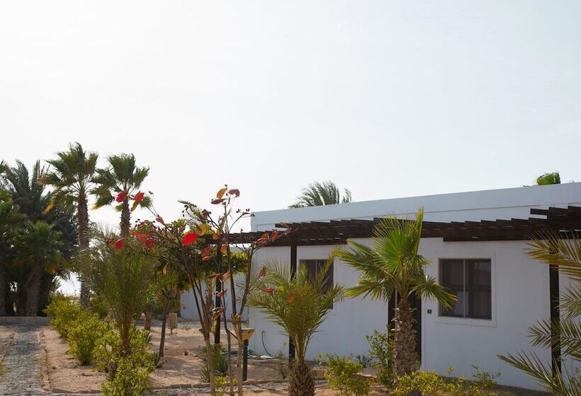 Vilas Praia De Chaves