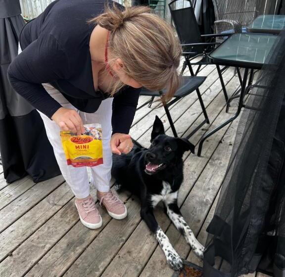 مبيت وإفطار Adams Inn