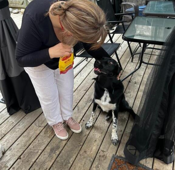 مبيت وإفطار Adams Inn