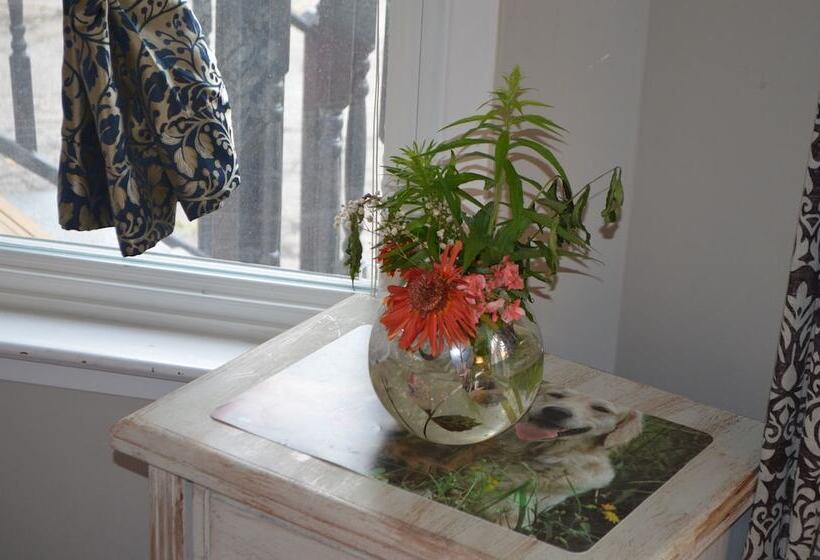 مبيت وإفطار Adams Inn