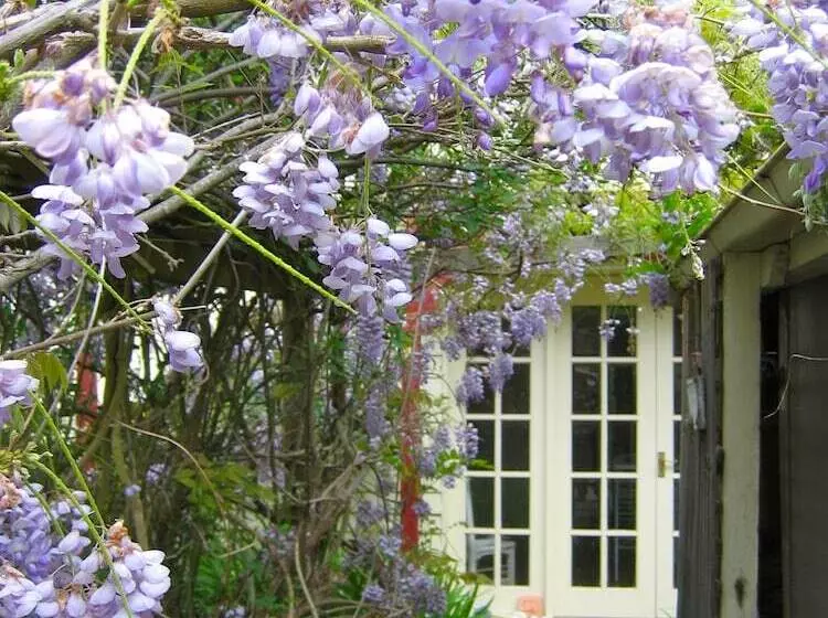 Aamiaismajoitus (B&B) Crabtree House