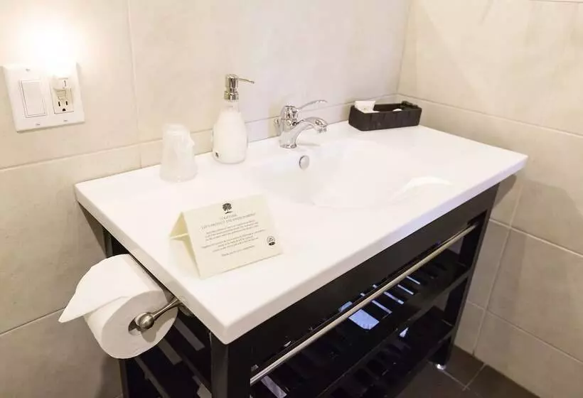 هتل Petit Hôtel Café Krieghoff