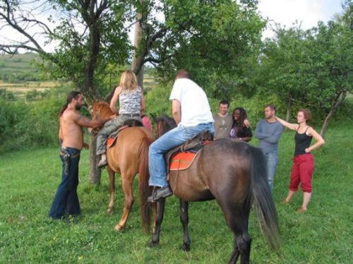 Отель Villa Cherven