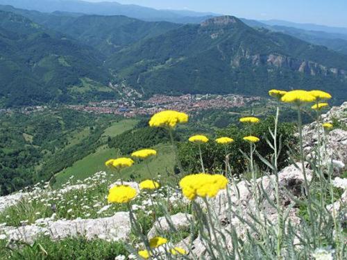 Отель Villa Cherven